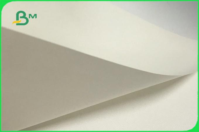 FSC Food Grade UWF Uncoated Woodfree Paper 80gsm to 120gsm OBA Free in Reels