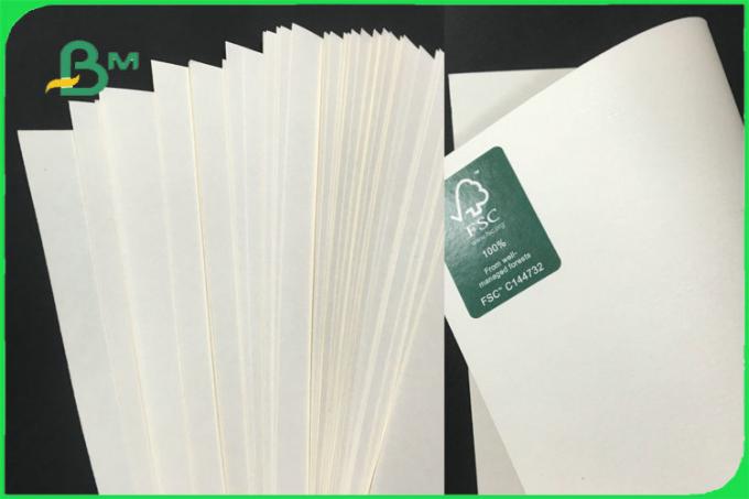 170 - 300gsm Food Grade Cupstock Base Paper Roll For Disposable Paper Cup
