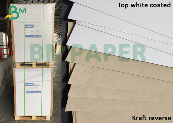 250gsm المطلي باللون الأبيض - أعلى لوح ورق KLB Kraft Liner