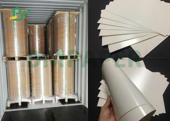 امتصاص جيد 230gsm + 18PE CupStock ورقة مغلفة جانب واحد لأكواب الورق