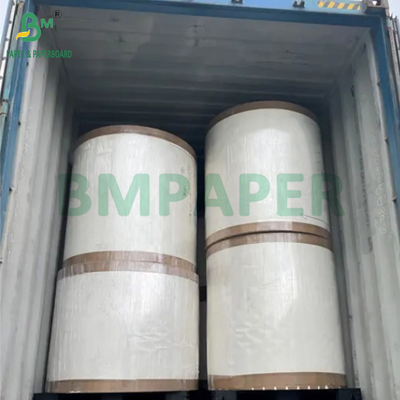 190 غرام + 15 غرام كوب من الورق PE P1S البريق للقهوة مقاوم للماء 720mm 880mm