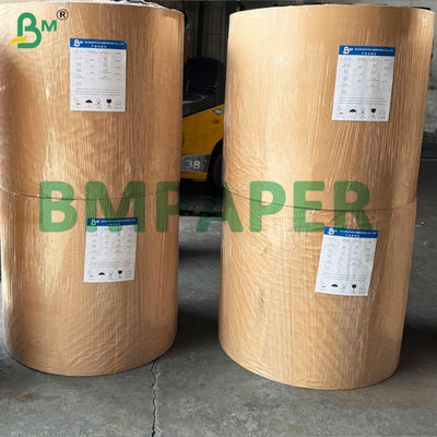 ورق رقائق السيليكون مزدوج الجوانب غير اللاصق للشواء