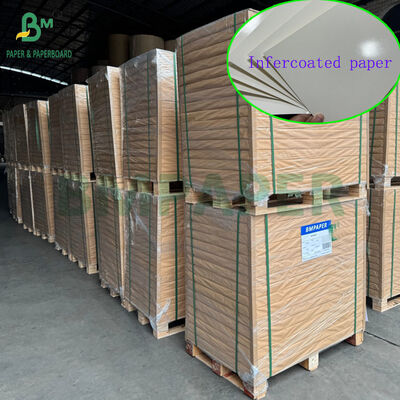 300gsm 350gsm ورقة الغذاء الصف الأبيض Infercoated لصندوق الغداء 70 × 100 سم