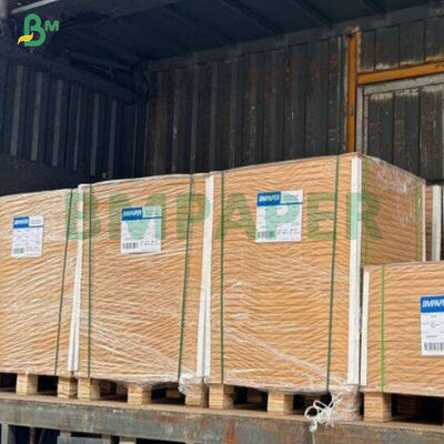 360 غرام صلابة جيدة بني CKB الورقية الغذائية في ورقة