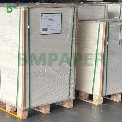 المقاومة للزيت عالية 20gsm 24gsm PE مغلفة الحساء الساخن المعكرونة حساء الورق