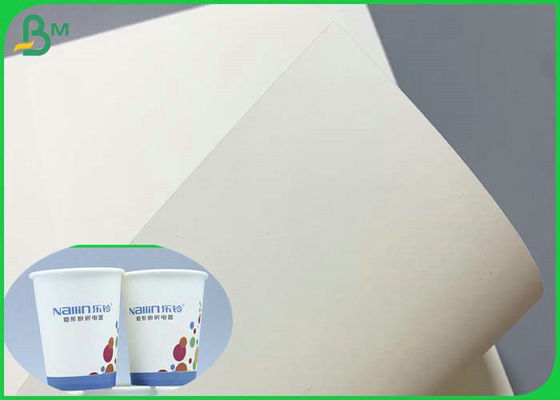 SGS 230g 260g PE المغلفة ورقة قاعدة Cupstock 850mm لفة