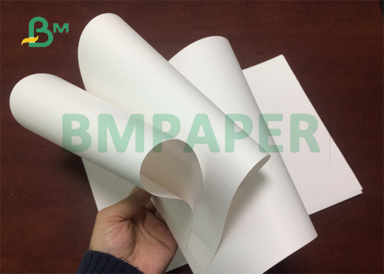 ورق أبيض 3 &quot;Core 100gsm 120gsm Foodgrade لإنتاج أكواب المياه المخروطية بعرض 20.5&quot;