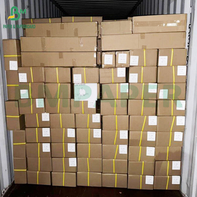 ورق الطباعة باللون 150gr ورق أبيض مغلف من جانب واحد 914mm X 30m رول