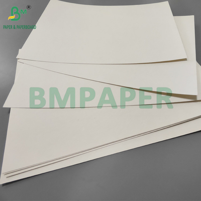 190 غرام + 15 غرام كوب من الورق PE P1S البريق للقهوة مقاوم للماء 720mm 880mm