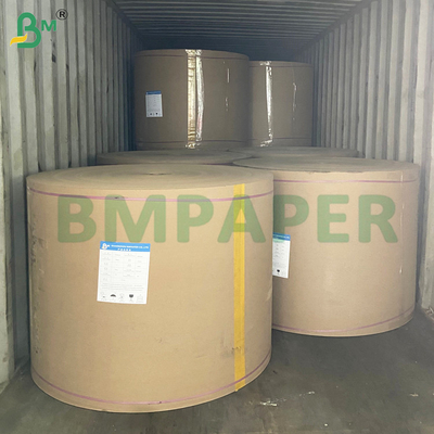 ورق كأس حائط واحد مغلف بـ PE 210g + PE 15g اللون الأبيض