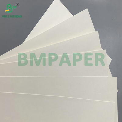 C1S PE السطح 210gsm 230gsm ورق كوب للمشروبات كوب جامبو رول