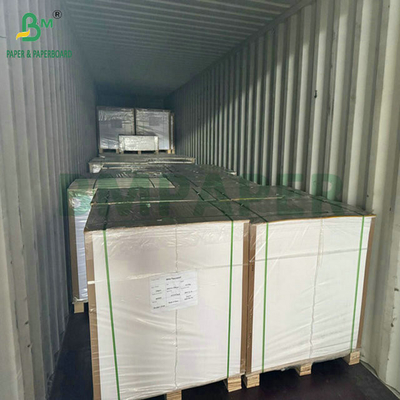 الدرجة الغذائية 250جرام 737ملم مائية Cupstock 1 ورق PE للكؤوس