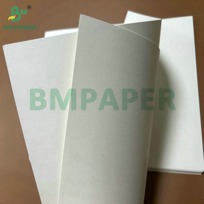 الدرجة الغذائية 250جرام 737ملم مائية Cupstock 1 ورق PE للكؤوس