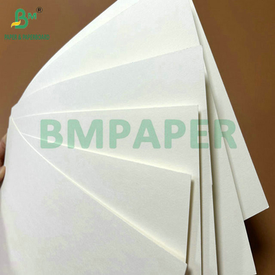 الدرجة الغذائية 250جرام 737ملم مائية Cupstock 1 ورق PE للكؤوس