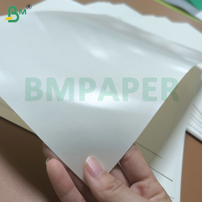 ممتازة مقاومة للماء PE مغلفة ورق Cupstock المواد الخام