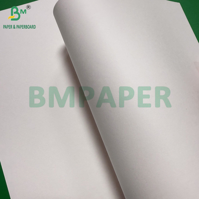 240 غرام + 18 غرام PE مغلفة الكأس ورق الأسهم متطابقة النهاية جانب واحد لفة مخصصة واسعة 430mm - 2100mm