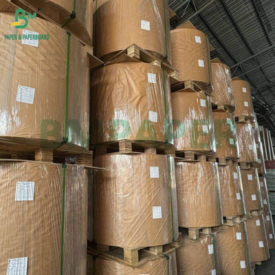 240 غرام + 18 غرام PE مغلفة الكأس ورق الأسهم متطابقة النهاية جانب واحد لفة مخصصة واسعة 430mm - 2100mm