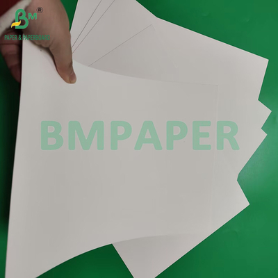 230gsm 260gsm ورق كوب مغلف بـ PE من جانب واحد لصنع ورق كوب