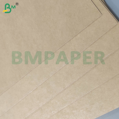 ورق كأس أبيض مطلي بـ PE مضاد للكثافة 135gsm-350gsm