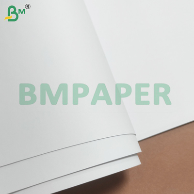 أوراق الورق الخالية من الخشب 70gsm 80gsm الصديقة للبيئة للطباعة