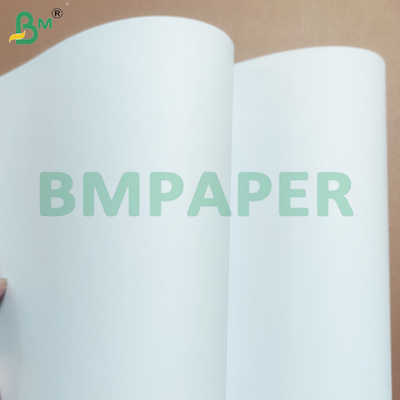 أوراق الورق الخالية من الخشب 70gsm 80gsm الصديقة للبيئة للطباعة