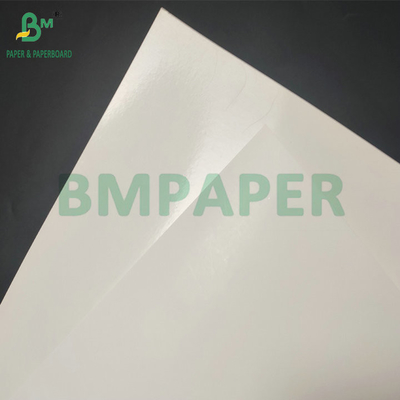 سطح ناعم 290gsm + 15gsm PE SBS الورق المقوى لصندوق التعبئة والتغليف المجمد