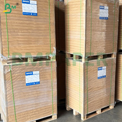 240 غرام + 10 غرام ورق الكأس المقوى من جانب واحد PE