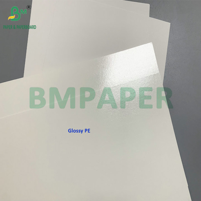 C1S 275gsm + 15gsm PE الورق المقلي المجمد لصندوق تعبئة الجمبري / الأسماك