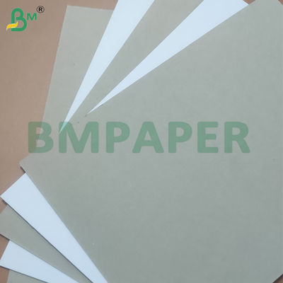 350gsm Duplex White Coated Grey Back Cardboard for Packaging