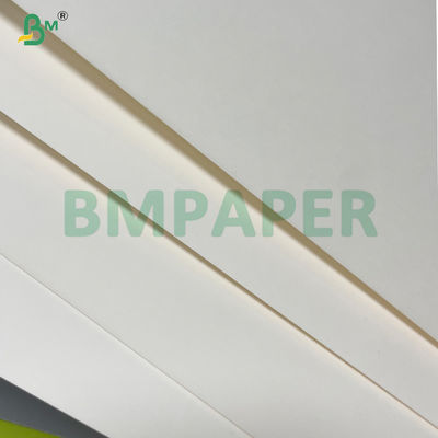 240gsm + 20gsm Biodegradable PLA Coated Cup Base paper in roll