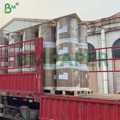 ورق أسود لامع مطلي بالشمع لزراعة المانجو، 56 جرام