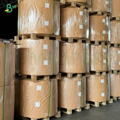 ورق مطلي بطبقة واحدة من البولي إيثيلين اللامع 40 جرامًا للمتر المربع + 10 جرامًا للمتر المربع مقاوم للزيت لتغليف المواد الغذائية