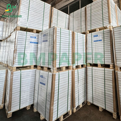 75 غرام من الورق الخالي من الكربون في حجم A4 / حرف - نسخة زرقاء أو سوداء