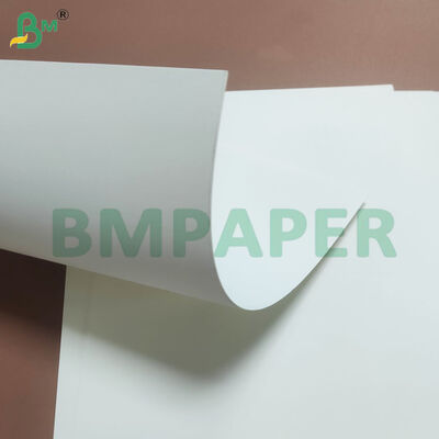 190g+10g One Side PE Coating Leak-proof Cup Stock Paper Sheets