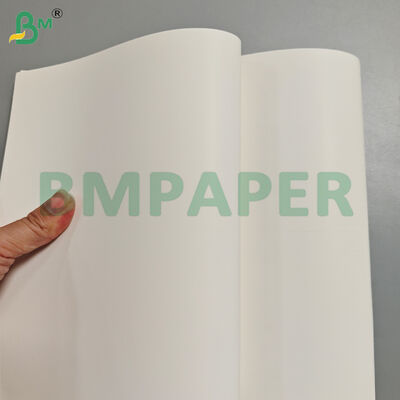 190gsm+10gsm Coating White Food Cardboard for Cold Food Packing