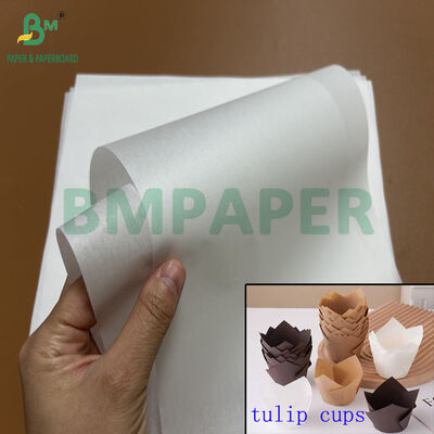 30gsm 40gsm  Food Safety Grease-resistant Paper For Tulip Baking Cup 1100mm 1200mm Reel