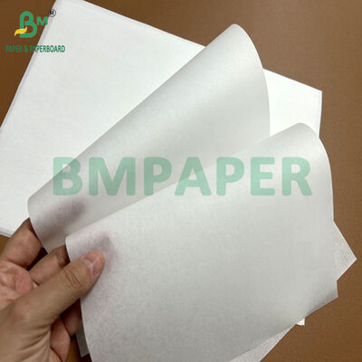 30gsm 40gsm  Food Safety Grease-resistant Paper For Tulip Baking Cup 1100mm 1200mm Reel