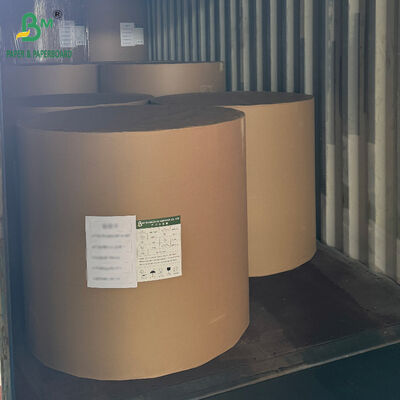 ورق مقوى CCNB مطلي بالبولي إيثيلين مقاس 18PT 24PT لصناديق تغليف الأطعمة المجمدة