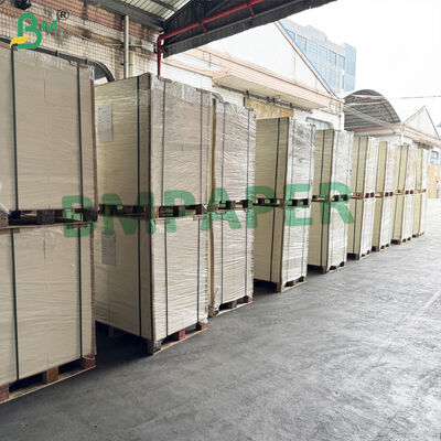 الورق الطبيعي لون جيد