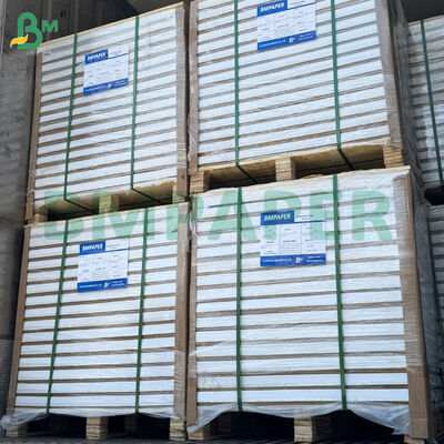 250 / 300gsm صفائح ورقية لامعة مزدوجة الجانب 787 مم * 1092 مم