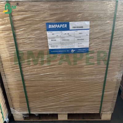 ورق فلاتر قهوة معتمد بدرجة غذائية، مقاس كبير وخيارات وزن مزدوج للاستخدام المنزلي والتجاري