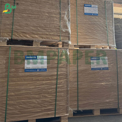 ورق فلاتر قهوة معتمد بدرجة غذائية، مقاس كبير وخيارات وزن مزدوج للاستخدام المنزلي والتجاري