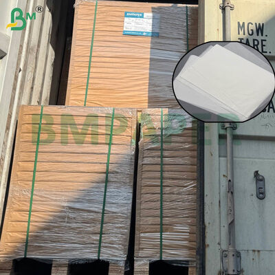 ورق فلاتر قهوة معتمد بدرجة غذائية، مقاس كبير وخيارات وزن مزدوج للاستخدام المنزلي والتجاري