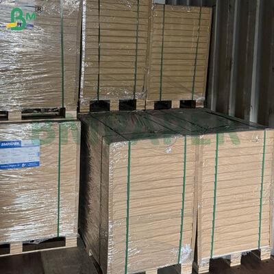 ورق فلاتر قهوة معتمد بدرجة غذائية، مقاس كبير وخيارات وزن مزدوج للاستخدام المنزلي والتجاري