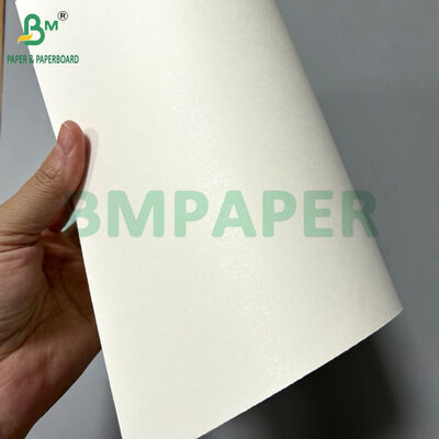 170-320gsm اللون الأبيض المطبع مع 15 ورق PE Cupstock في 70 × 100 سم
