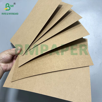 300gram Oven Baking Food Container Paper Board For Making Lunch Box 70 x 100cm