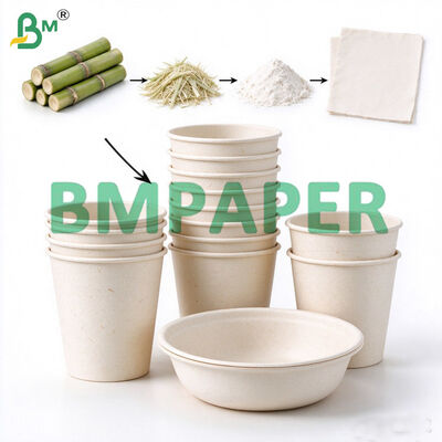 300g Unbleached Sugarcane Bagasse Pulp Sheet for Making Biodegradable Bowl Cup
