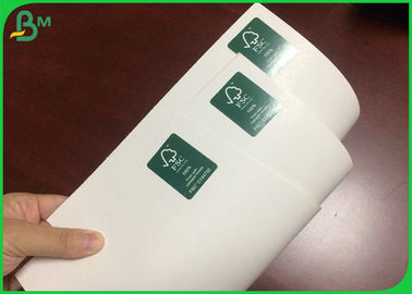 300GSM 610 * 860MM اللون الأبيض C1S لوح العاج لصنع صندوق طويلي