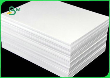 270gsm 300gsm C1S لوحة العاج الكبيرة طي 700 * 1000 مم