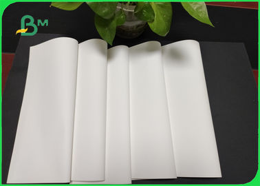 ورق الحجر المقاوم للماء المقاوم للدموع في 60gm - 600gm للملاحظات والجدول الزمني